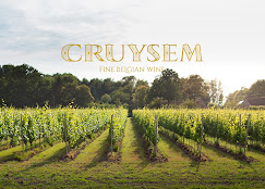 Wijndomein Cruysem in Kruisem: Belgische bubbels uit de Vlaamse Ardennen