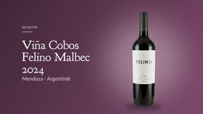 Fles Felino Malbec 2024 van Viña Cobos