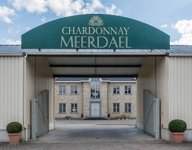 Chardonnay Meerdael in Oud-Heverlee: de pionier van Belgische bubbels